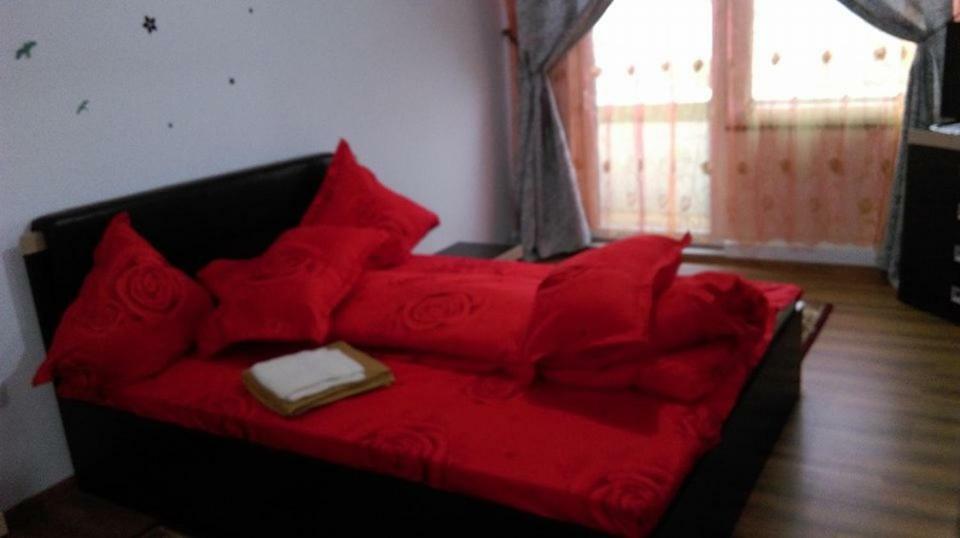 Vila Annemaryy Arbore المظهر الخارجي الصورة